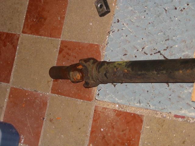 Click to see next picture